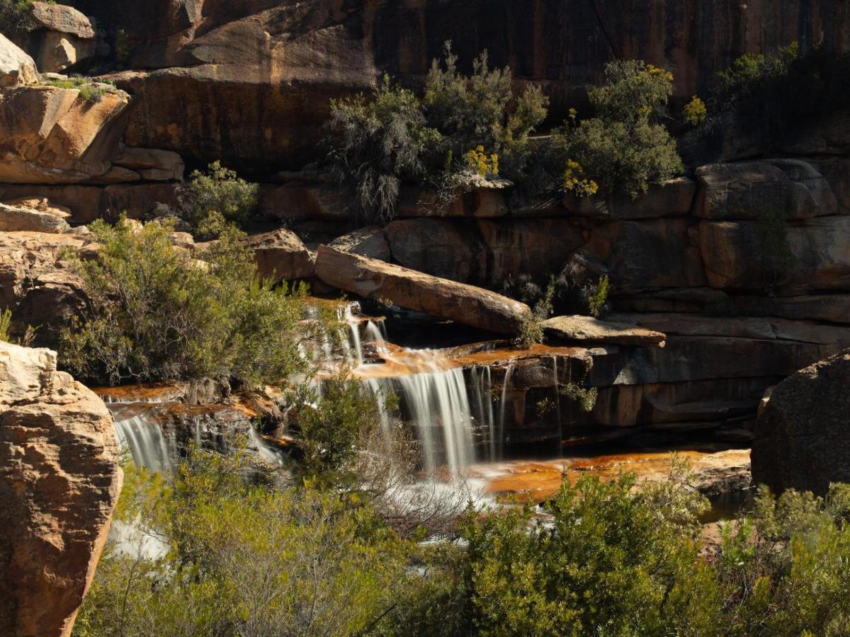 Alpha Excelsior Guest Farm Villa Clanwilliam Exterior foto
