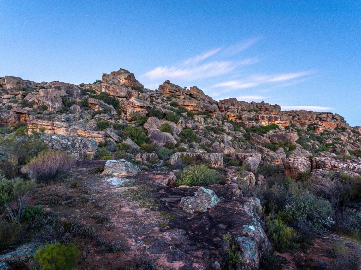 Alpha Excelsior Guest Farm Villa Clanwilliam Exterior foto