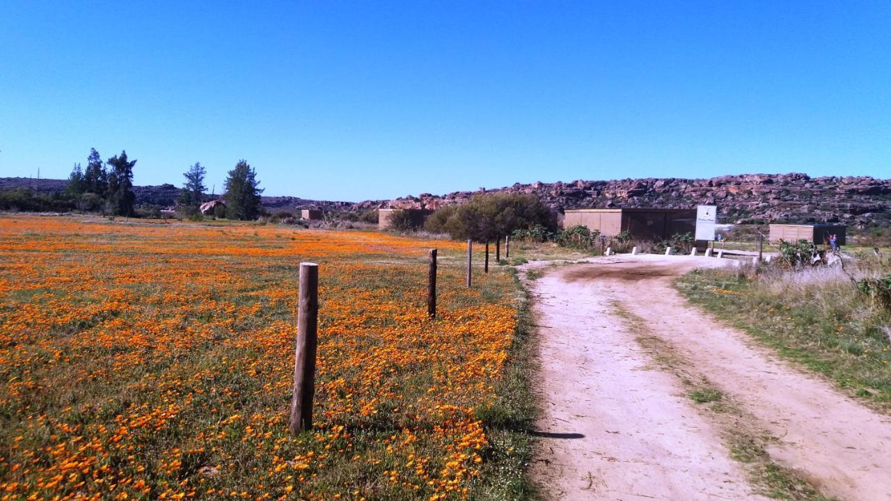 Alpha Excelsior Guest Farm Villa Clanwilliam Exterior foto